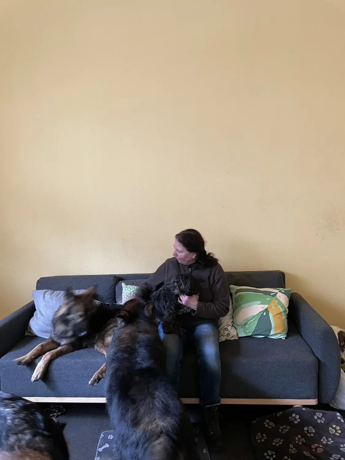 Hundehort Claudia Richter, Hunde im Haus